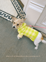 Meet the Parents Sweater