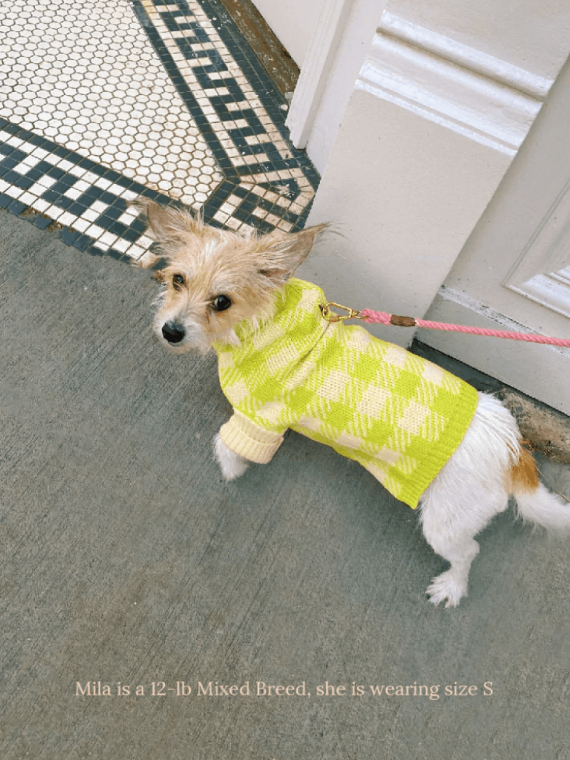 Meet the Parents Sweater