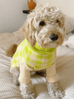 Meet the Parents Sweater