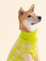 Meet the Parents Sweater