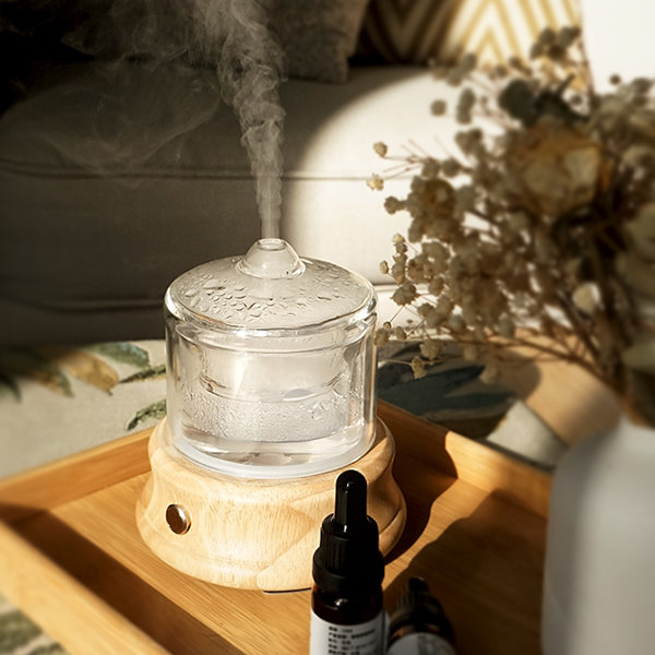 Difuzorius ir drėkintuvas „Annecy“