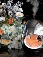 Difuzorius su druskos lempa „Himalajų Sidabras“